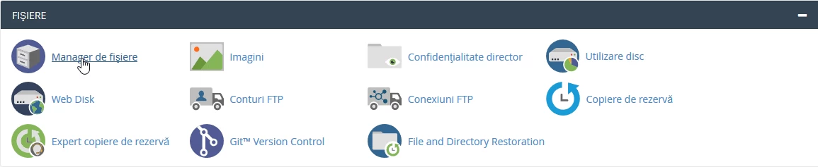 Manager de fisiere cPanel