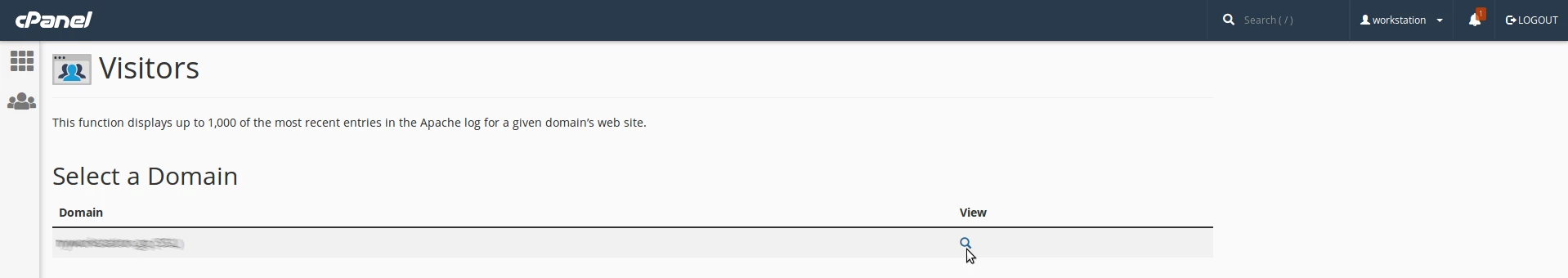 Patikrinti lankytojus domeno cPanel